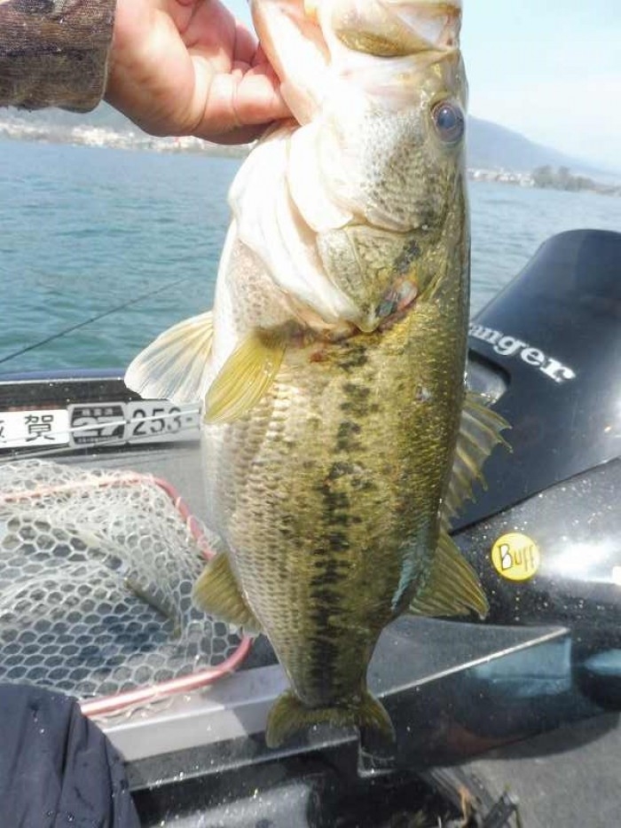 truth  ブログ写真 2017/04/16