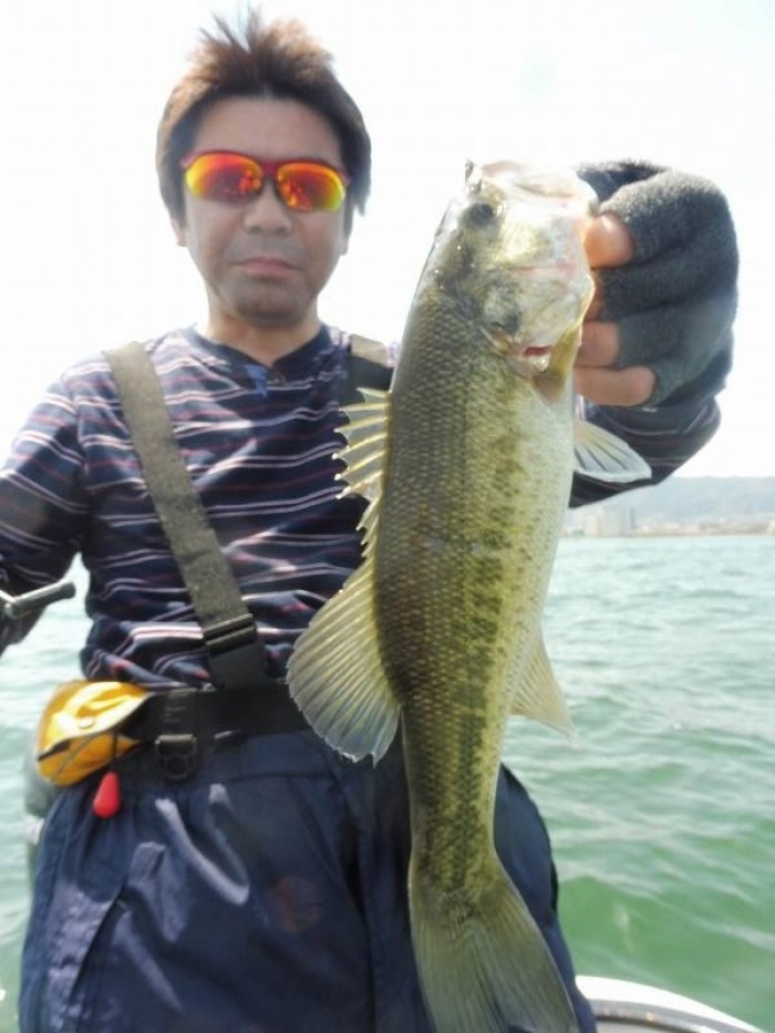 truth  ブログ写真 2017/04/16