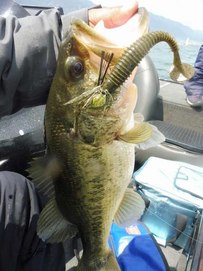 truth  ブログ写真 2017/04/16