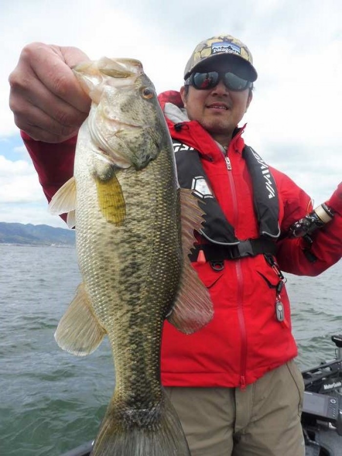 truth ブログ写真 2017/04/18