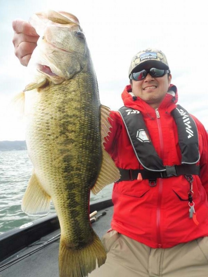 truth ブログ写真 2017/04/18