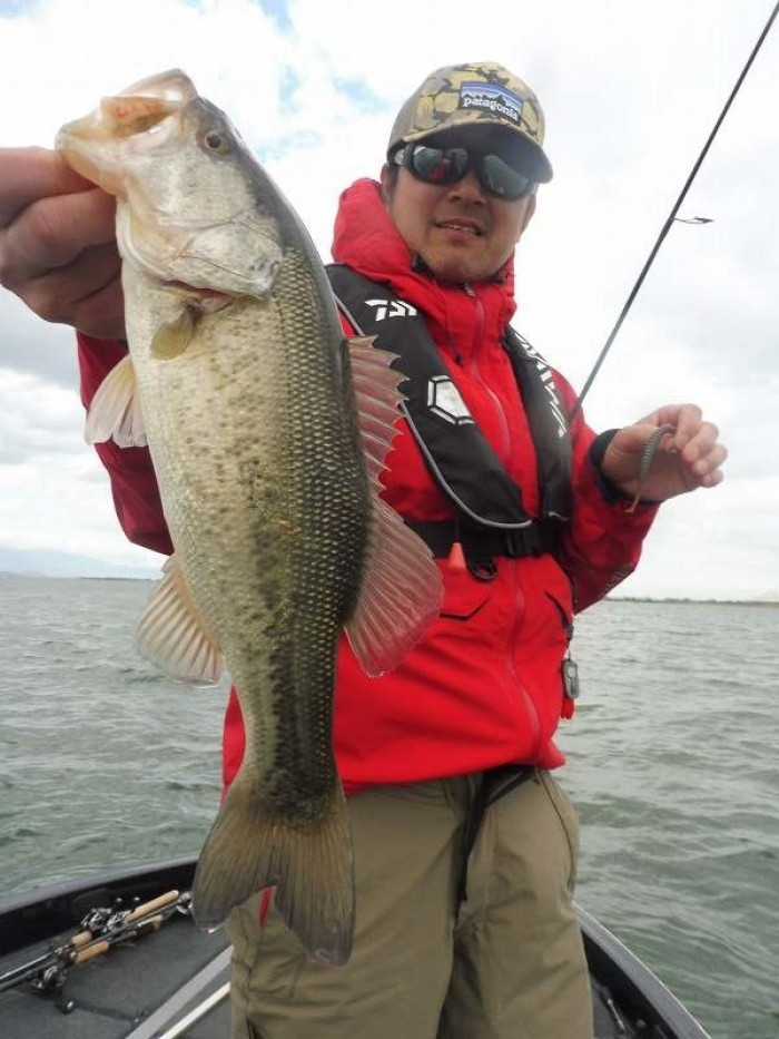 truth ブログ写真 2017/04/18