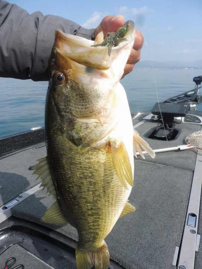 truth ブログ写真 2017/04/19