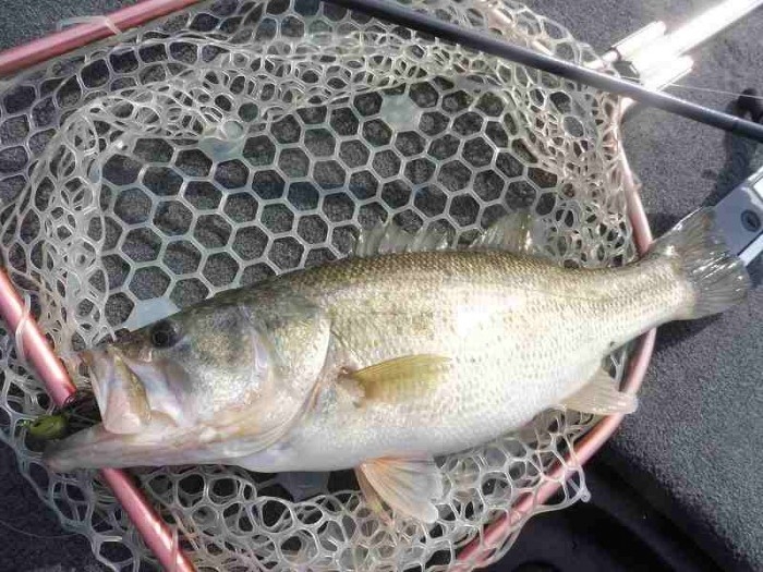 truth ブログ写真 2017/04/19