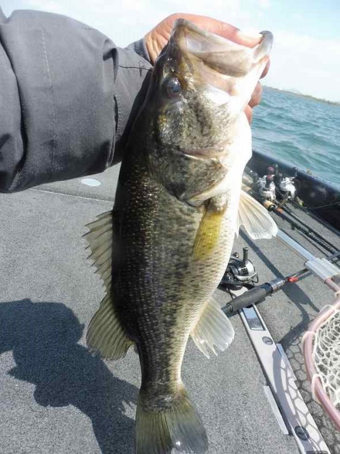 truth ブログ写真 2017/04/19