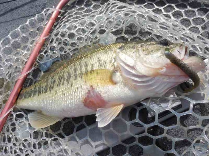 truth ブログ写真 2017/04/19