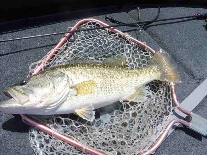 truth 繝悶Ο繧ー蜀咏悄 2017/04/19