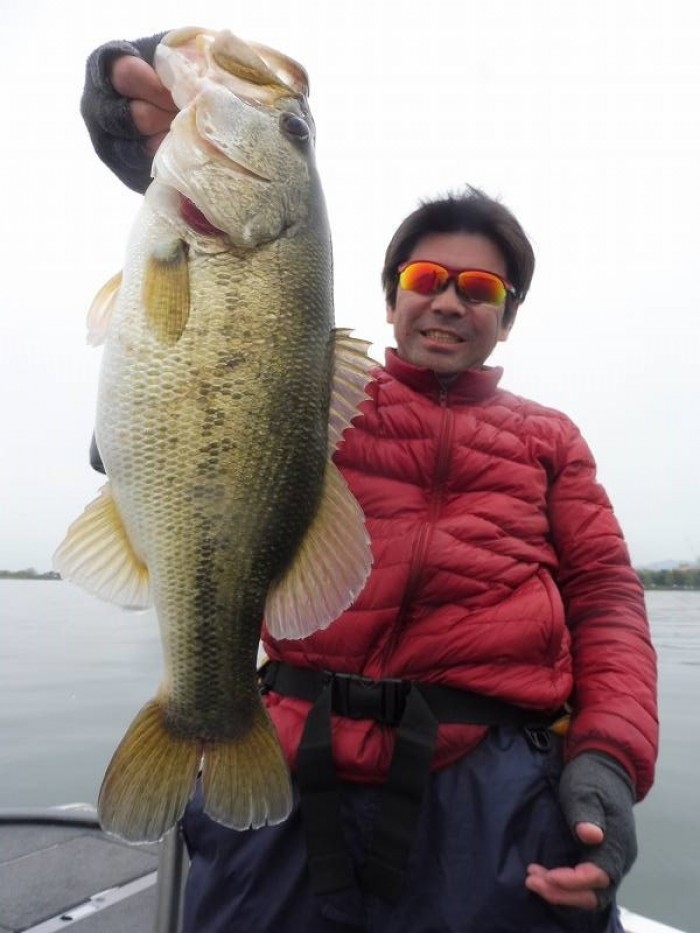 truth ブログ写真 2017/04/20