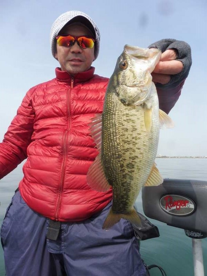 truth ブログ写真 2017/04/20