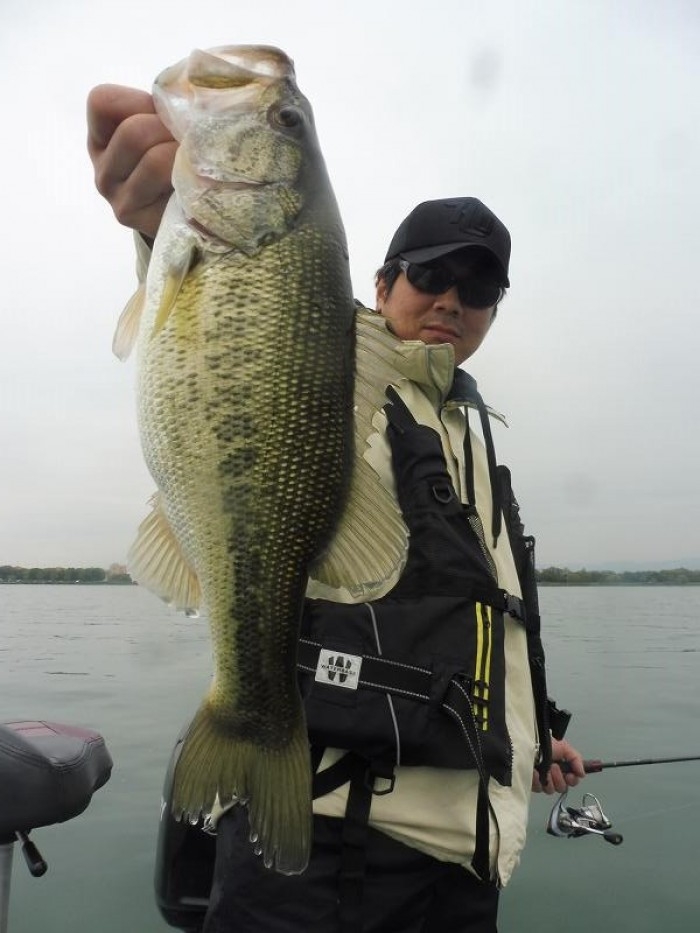 truth  ブログ写真 2017/04/21