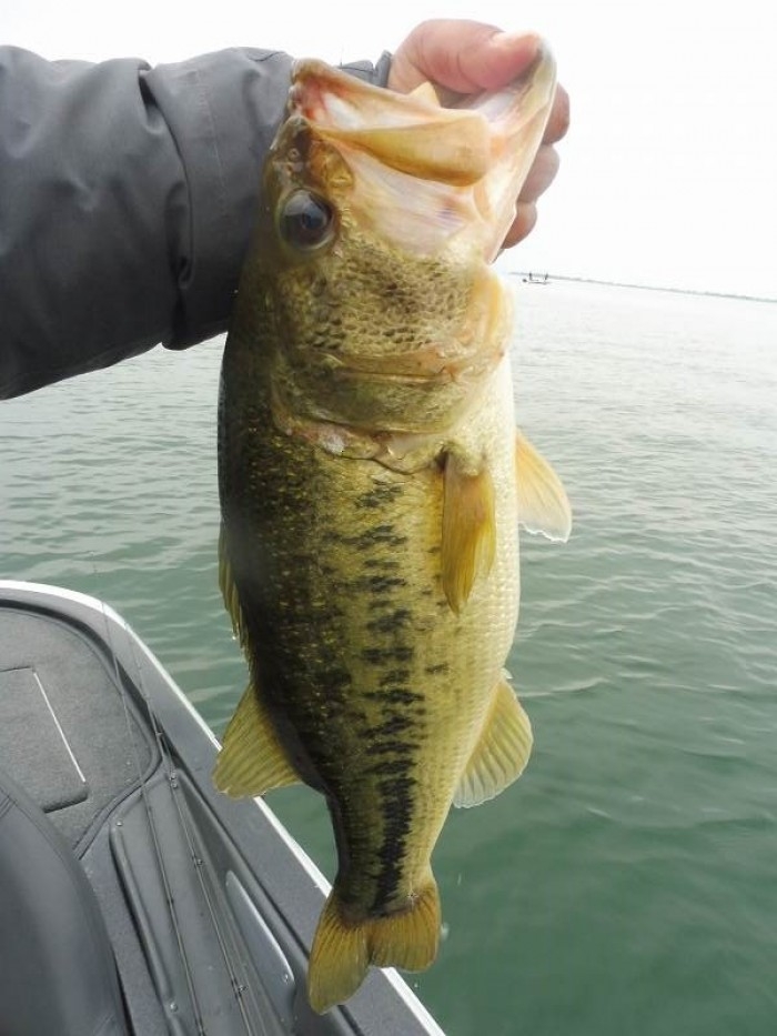 truth  ブログ写真 2017/04/21