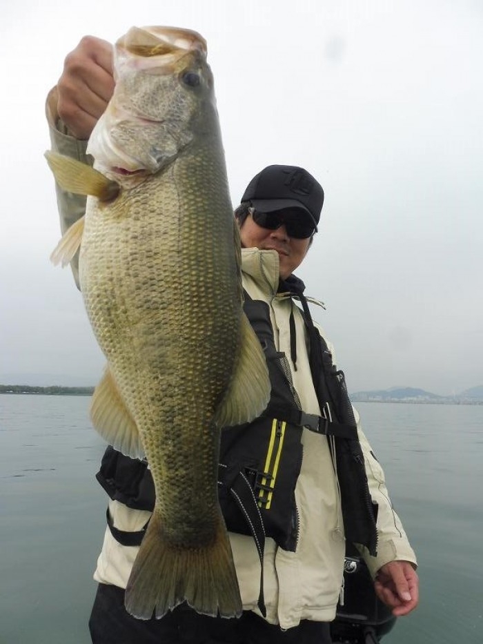 truth  ブログ写真 2017/04/21