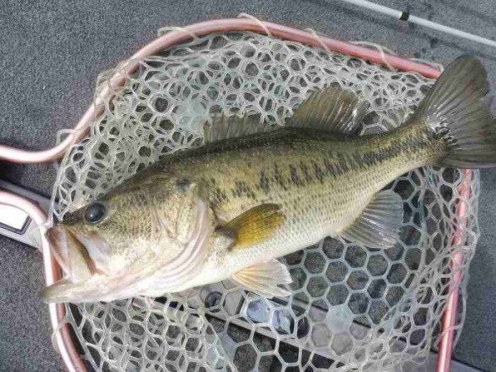 truth  ブログ写真 2017/04/21