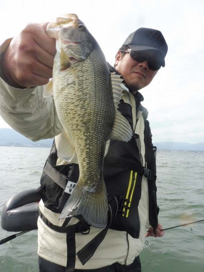 truth  ブログ写真 2017/04/21