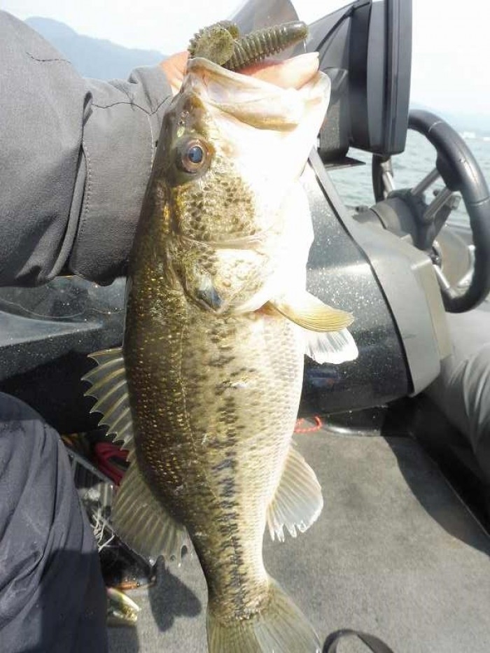 truth  ブログ写真 2017/04/22