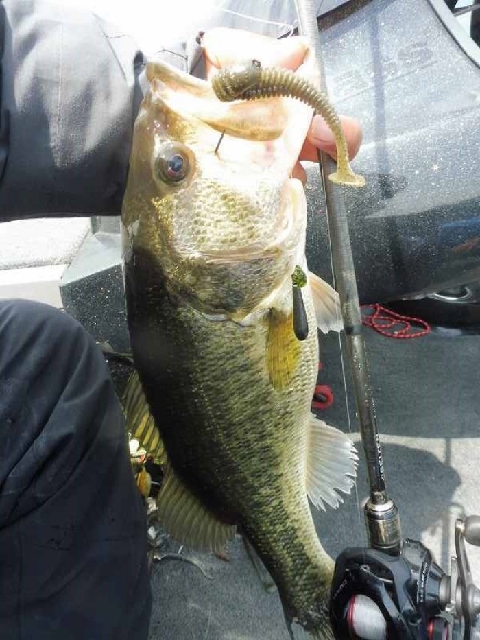 truth  ブログ写真 2017/04/22