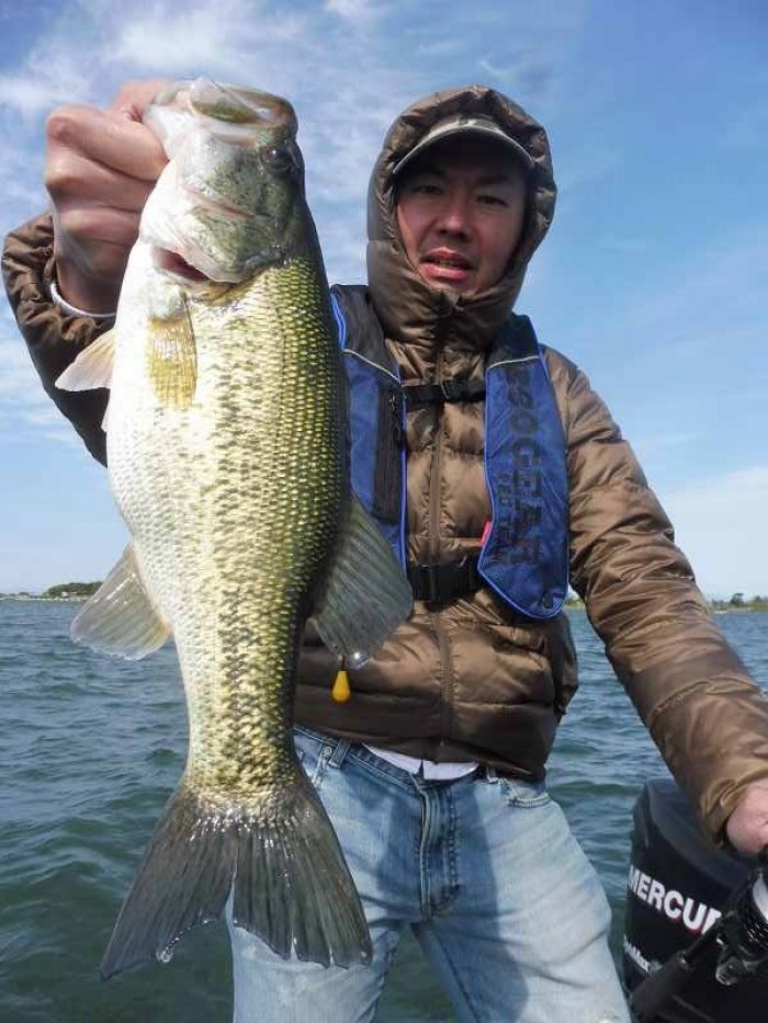 truth  ブログ写真 2017/04/22