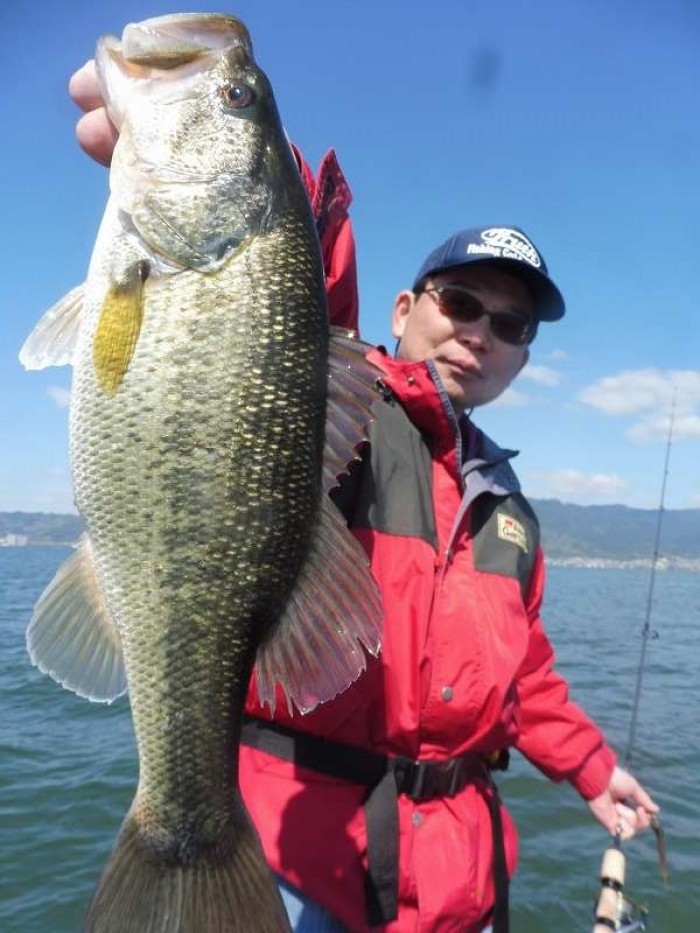 truth  ブログ写真 2017/04/23