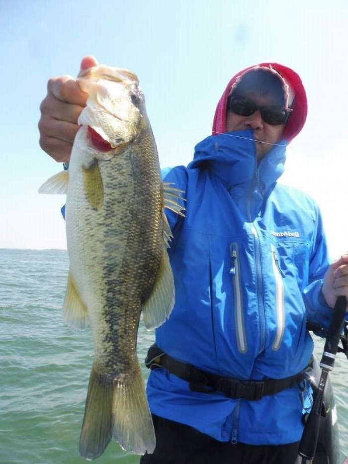 truth  ブログ写真 2017/04/24