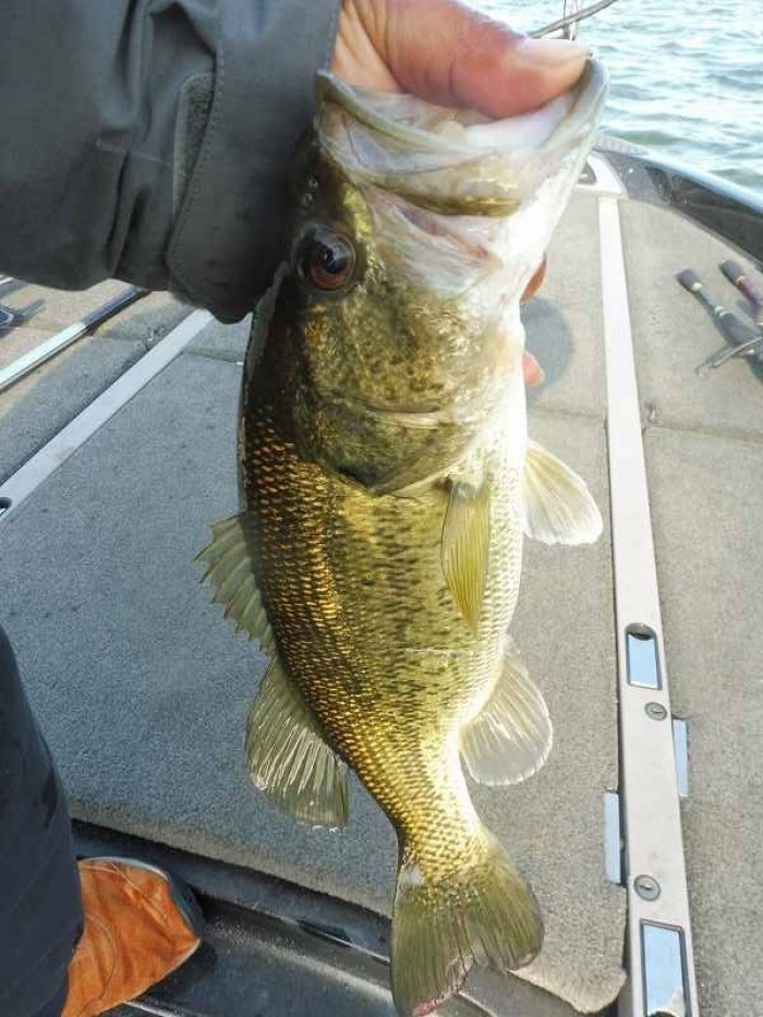 truth  ブログ写真 2017/04/24