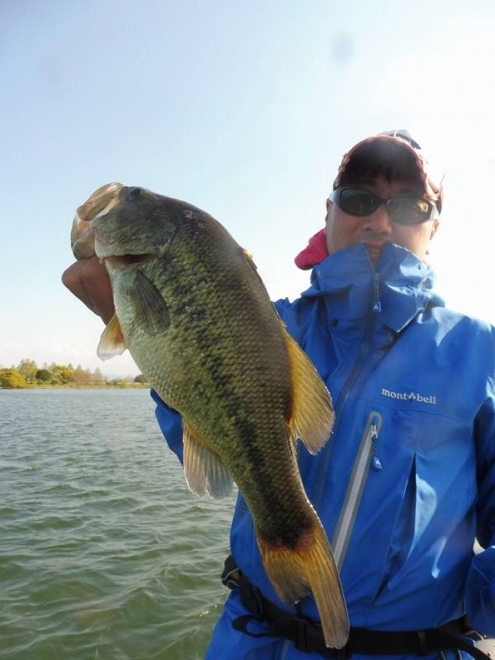 truth  ブログ写真 2017/04/24