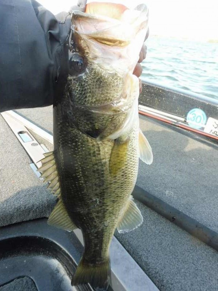 truth  ブログ写真 2017/04/24