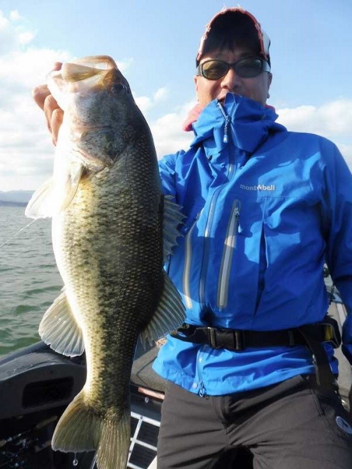 truth  ブログ写真 2017/04/24