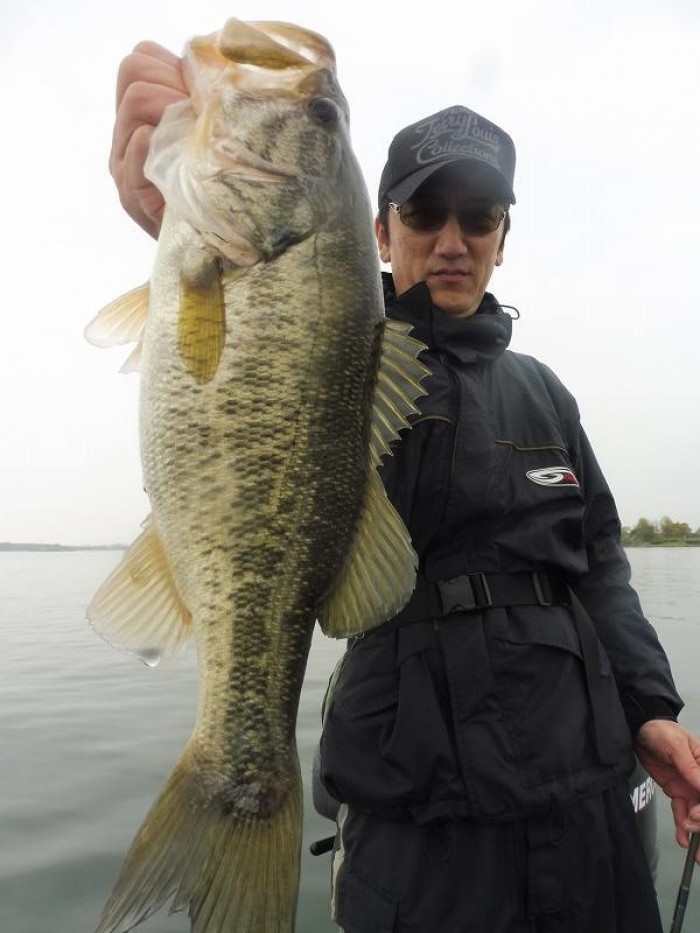 truth  ブログ写真 2017/04/26