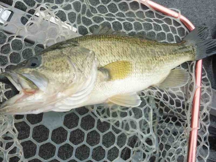 truth  ブログ写真 2017/04/26