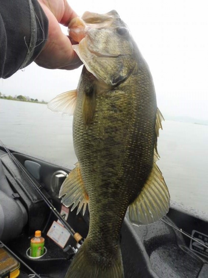 truth  ブログ写真 2017/04/26