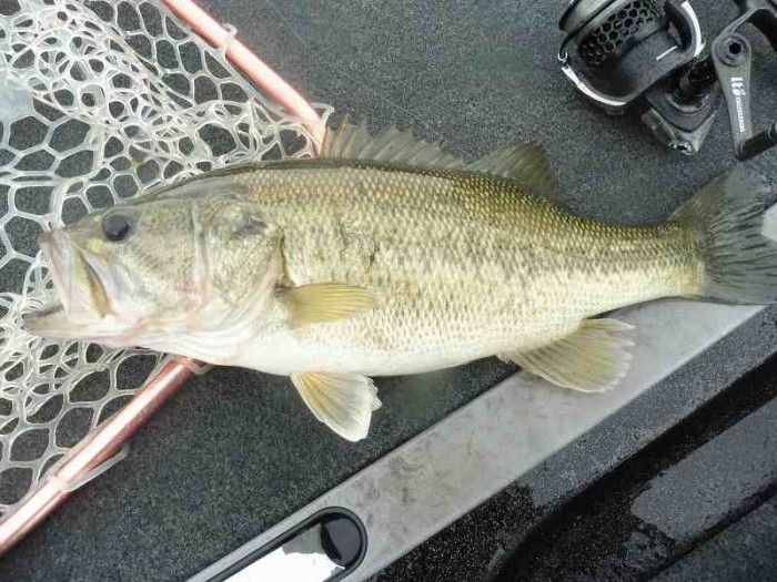 truth  ブログ写真 2017/04/26