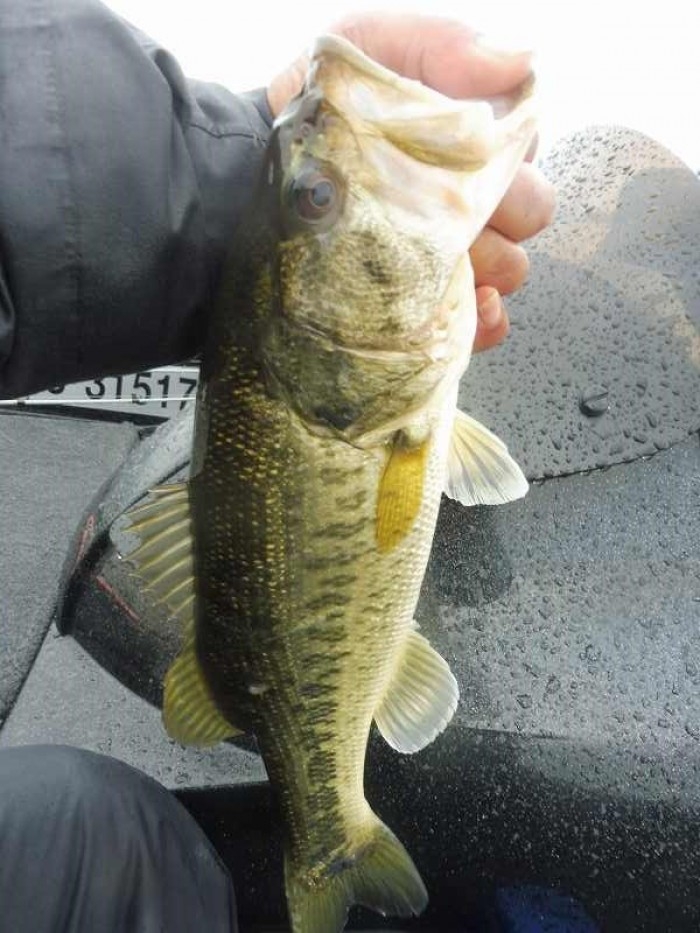 truth  ブログ写真 2017/04/26