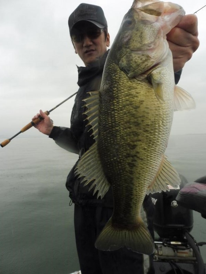 truth  ブログ写真 2017/04/26