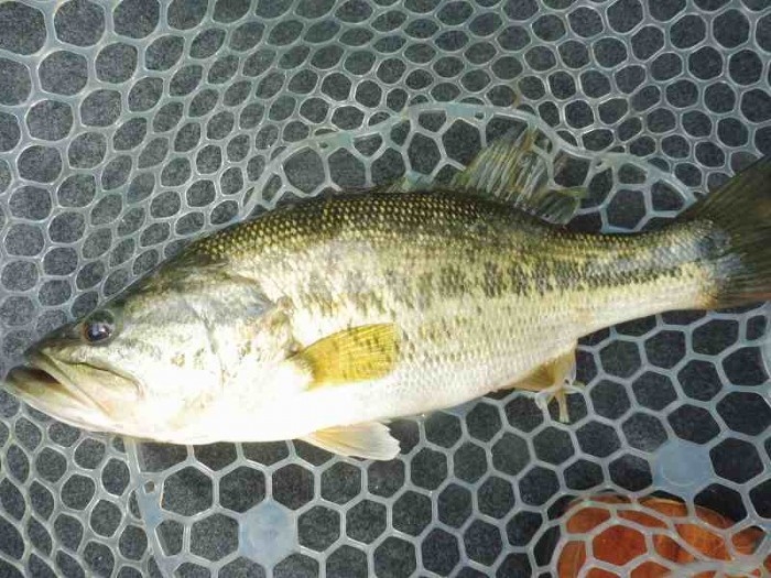 truth  ブログ写真 2017/04/28