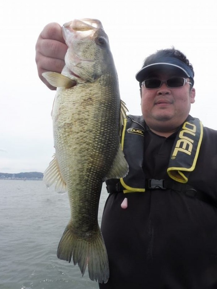 truth  ブログ写真 2017/04/28