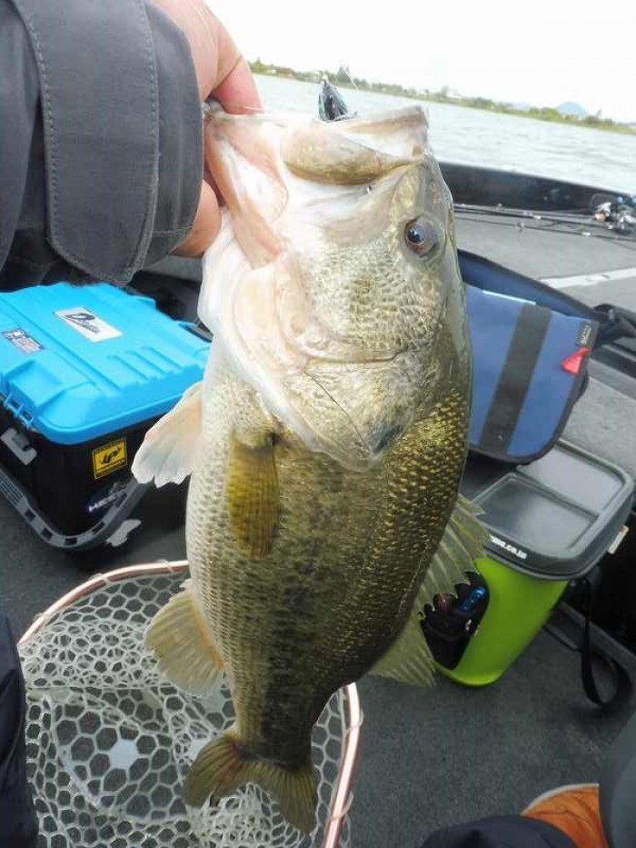 truth  ブログ写真 2017/04/28