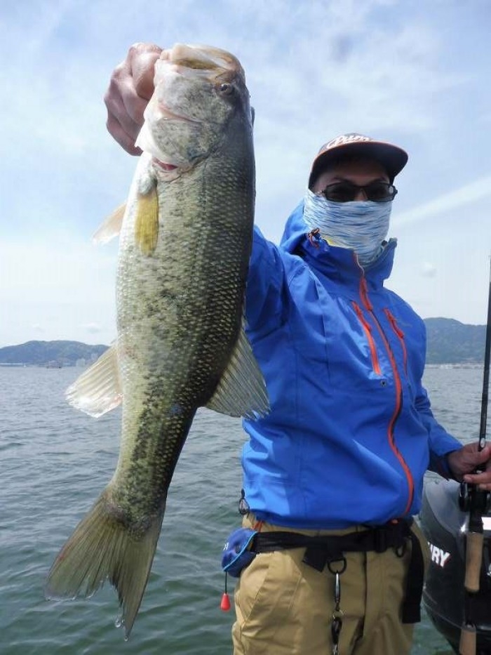 truth  ブログ写真 2017/04/28