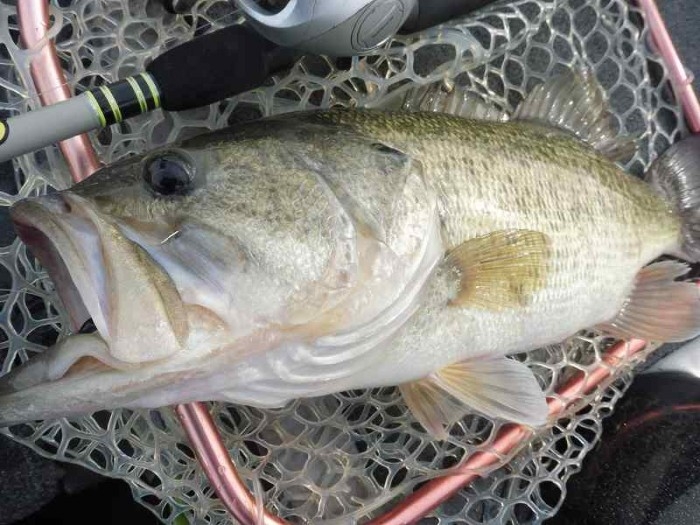 truth  ブログ写真 2017/04/28