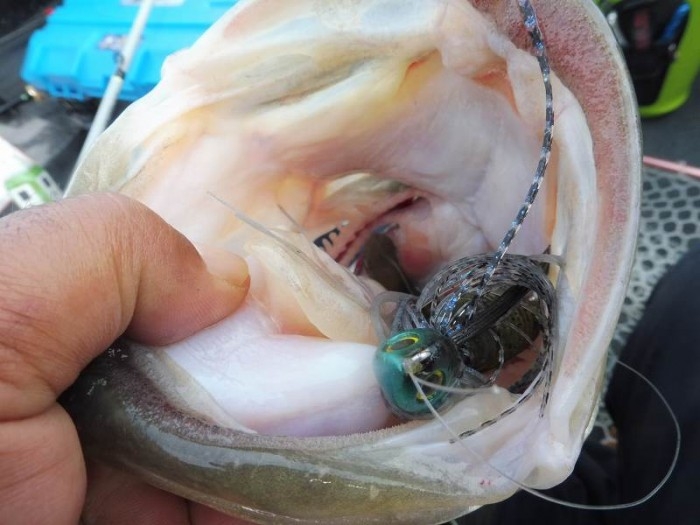 truth  ブログ写真 2017/04/28