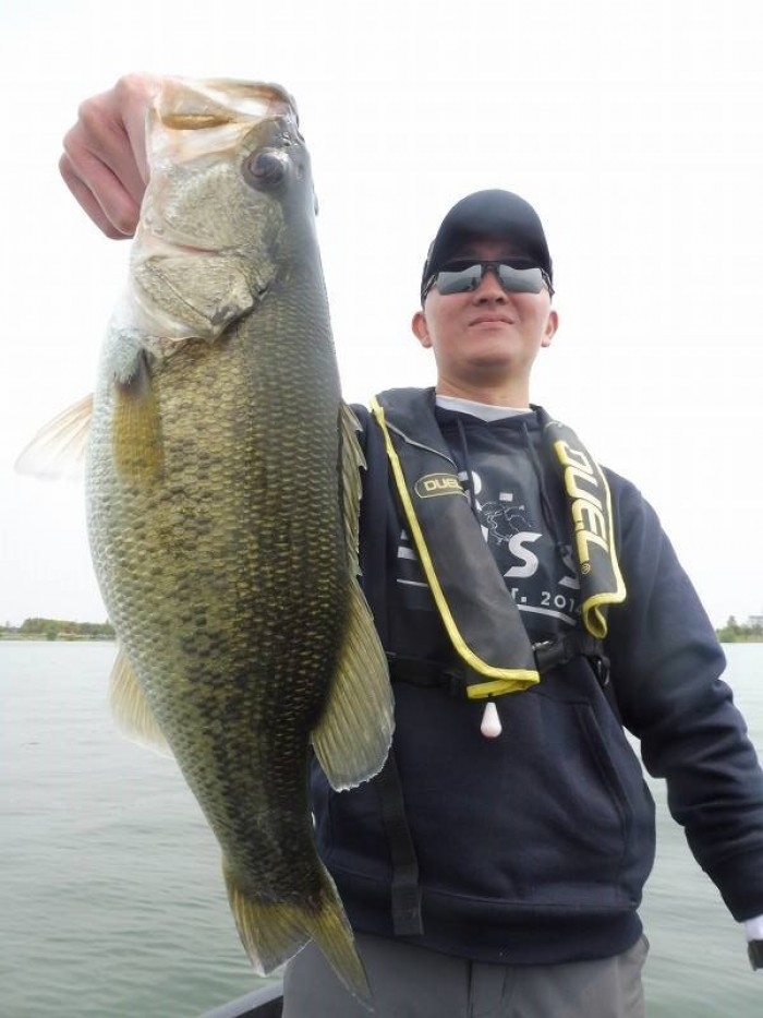 truth  ブログ写真 2017/05/01