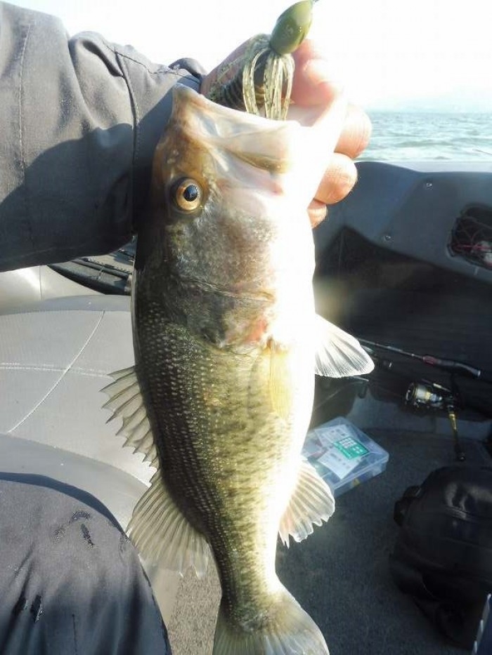 truth  ブログ写真 2017/05/01