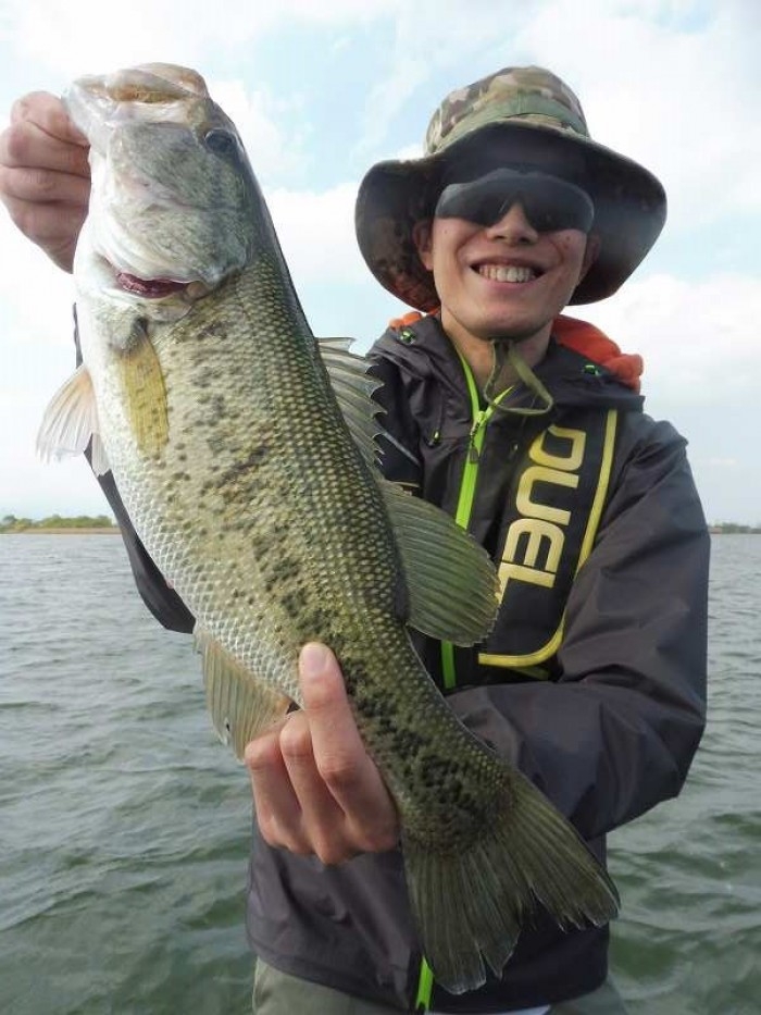 truth  ブログ写真 2017/05/01