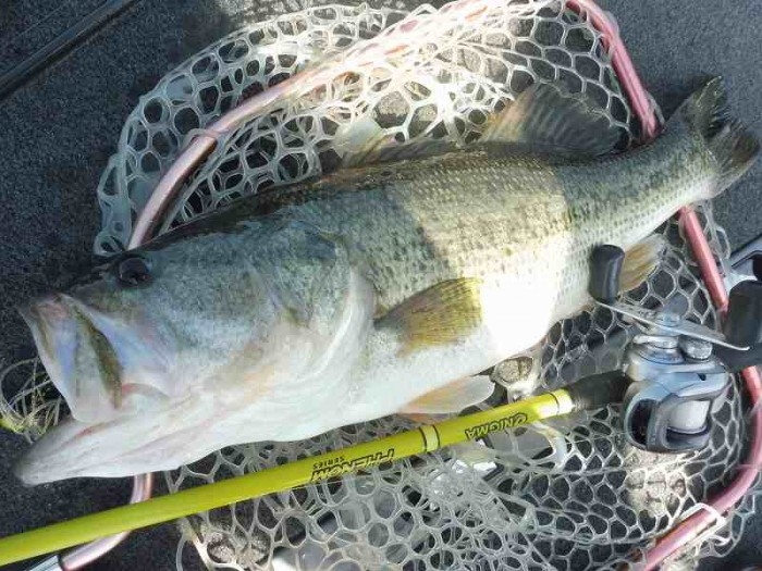 truth  ブログ写真 2017/05/02