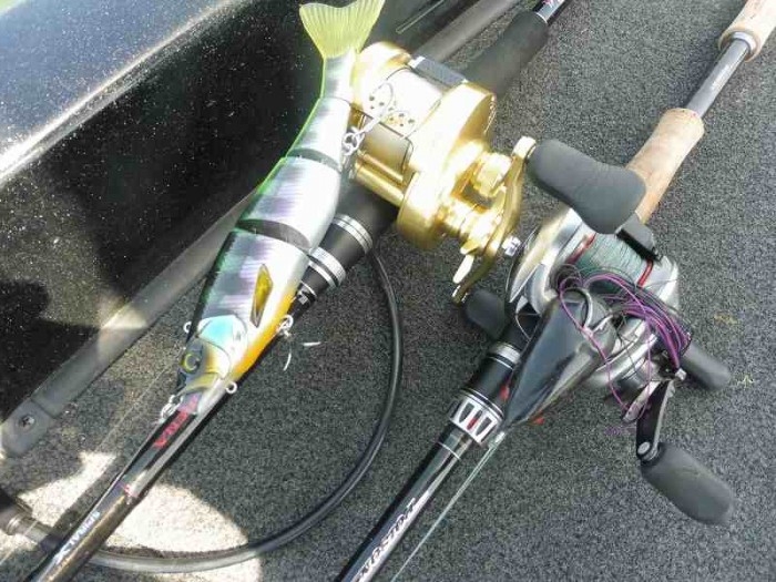 truth  ブログ写真 2017/05/02