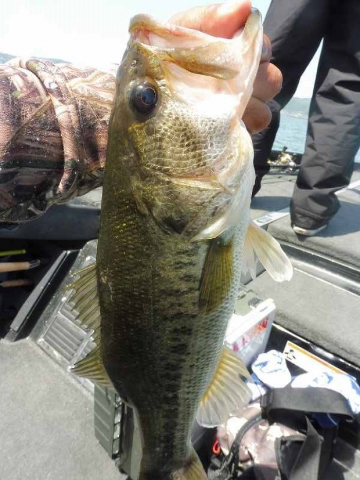 truth  ブログ写真 2017/05/02