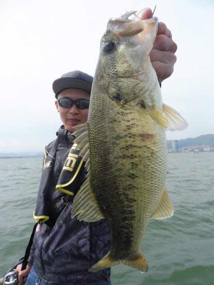 truth  ブログ写真 2017/05/03