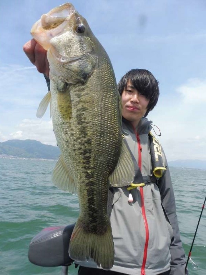 truth  ブログ写真 2017/05/03