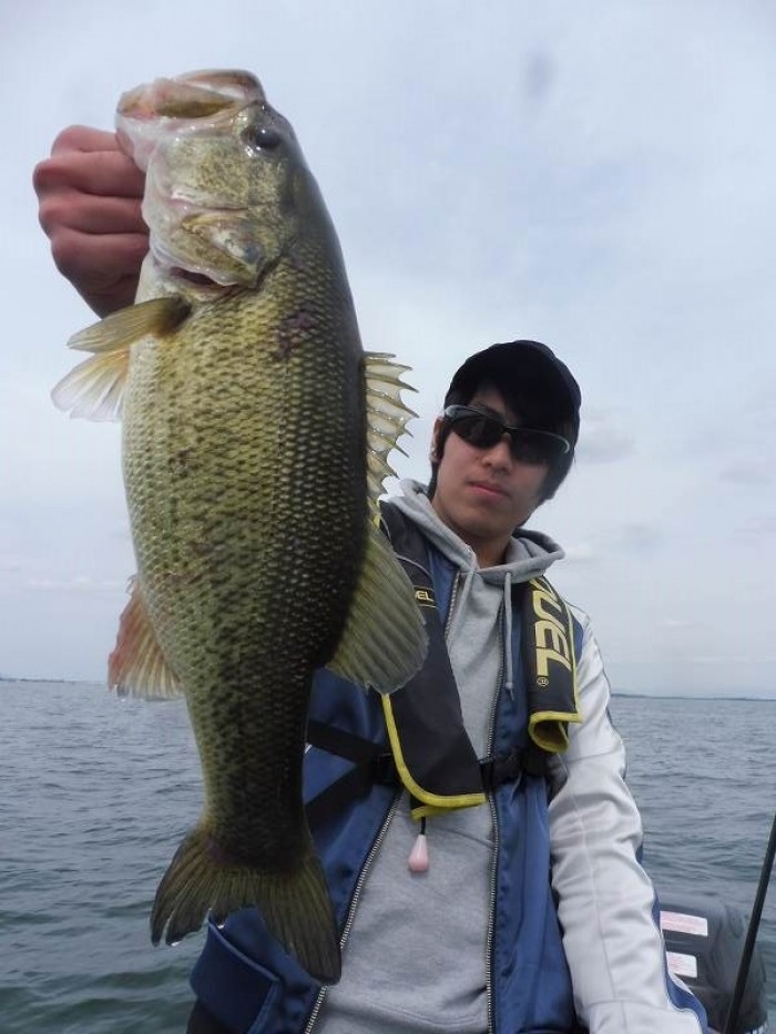 truth  ブログ写真 2017/05/03