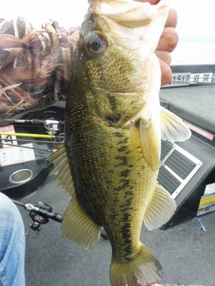 truth  ブログ写真 2017/05/03