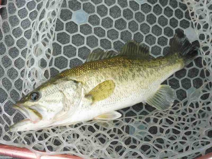 truth  ブログ写真 2017/05/03